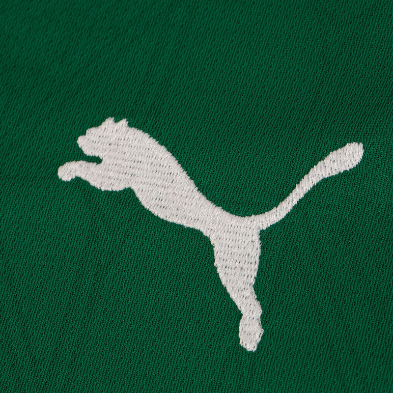 Camisa Palmeiras I 25/26 - Torcedor Masculina - Verde e Branco